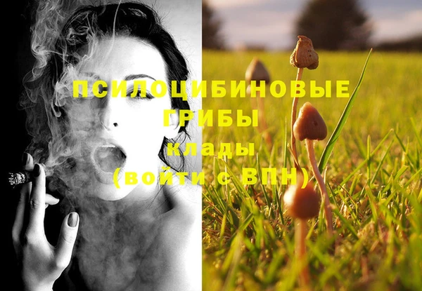 соль ск Алексеевка