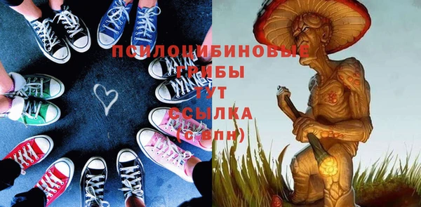 соль ск Алексеевка