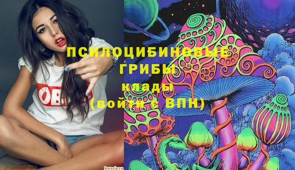 соль ск Алексеевка