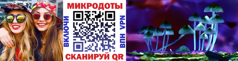 купить наркотики сайты  Бабаево  Псилоцибиновые грибы мухоморы 
