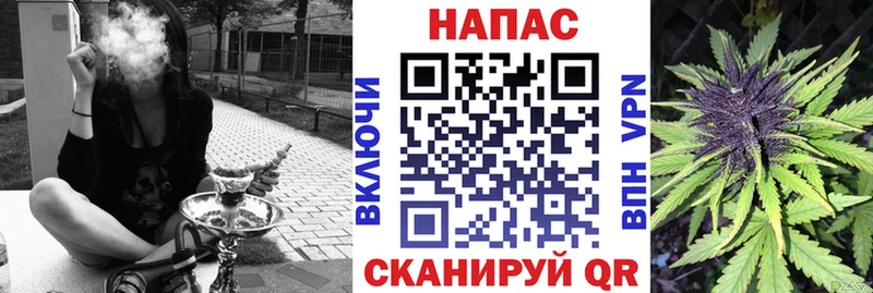 Конопля марихуана  Бабаево 